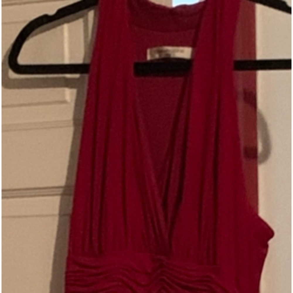 Red Evan-picone dress